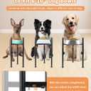 Adjustable Elevated Dog Bowls, 6-10inch Single Pet Food Dish Stand