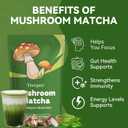 Mushroom Matcha Powder with 6 Adaptogen Mushrooms & Ceremonial-Grade Matcha Powder - Boosts Energy, Focus, Digestion, Immunity (30 Servings) (EXP 08/31/27)