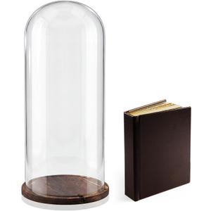 22'' × 8.66'' Glass Dome Cloche Display with Wood Base, Clear Display Jar
