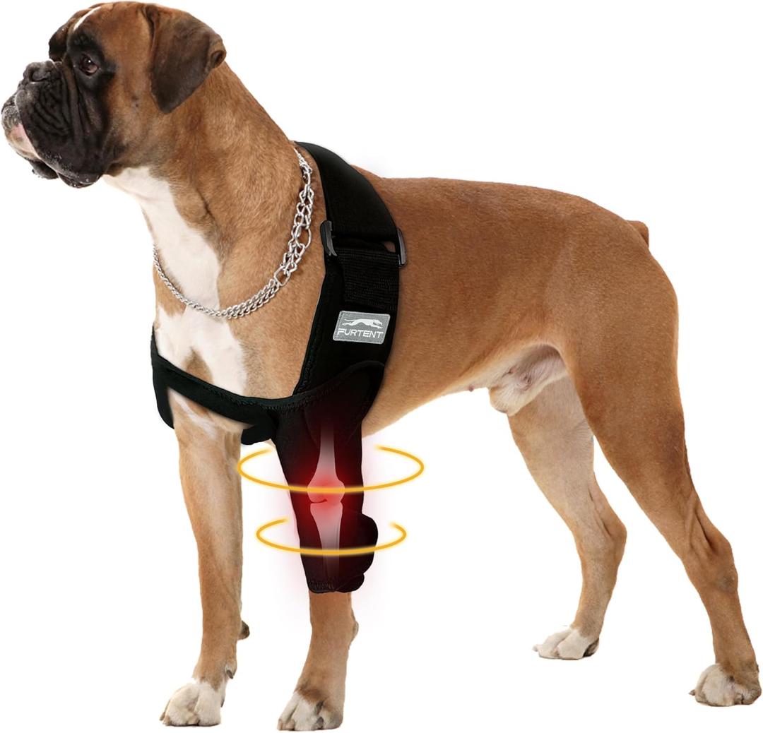 Dog Front Leg Brace for Elbow Dysplasia, Shoulder Dislocation, Hygroma, Pet Prevent Licking Wound Elbow Protector, Avoid Cone of Shame, Abrasion Resistant Dog Recovery Sleeve, L (L, Left Leg)