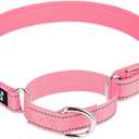 Serijoars Martingale Heavy Duty Nylon Dog Collar (L, Red) and Pimaodog Martingale Dog Collar (M, Pink)