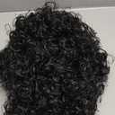 karlery Mens Short Curly Black Mustache Beard Afro Wig California Rocker Disco Halloween Cosplay Anime Costume Party Wig (Black)