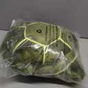 Protective Gear for Skiing Skating Snowboarding Cute Turtle Tortoise Cushion Green (Large-20.5inch)