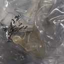 Askyli Floating Pool Lights, Warm White LED Solar Pool Lights That Float, IP68 Waterproof Light up Pool Balls, 15" Inflatable Floating Light for Pools Party Wedding Decor (2Piece)