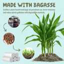 Small Compost Bags 1.2 Gallon Mini Trash Bags 125 Count, Ecosilva Compost Bag 5 Rolls Small Trash Bags ASTM OK compost INDUSTRIAL, 4-5 L Wastebasket Compost Bag for Kitchen Compost Bin (White)