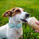 Summer Dog Collar with Bow Tie, Cotton Cute Bowtie Collar, Comfortable Blue Collar with Metal Buckle, M