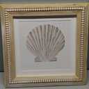 Art Framed Canvas Wall Art 22x22 Oceanum Shells