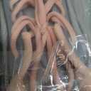 IIV Women's Walking Shoes | Arch Support Orthotic Tennis Shoes | Plantar Fasciitis Sneakers for Pain Relief (6.5, Greypink)