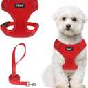 PUPTECK Small Dog Harness and Leash Set, No Pull Adjustable Puppy Cat Harness, Reflective Soft Mesh Pet Vest Small Sized, Red, S