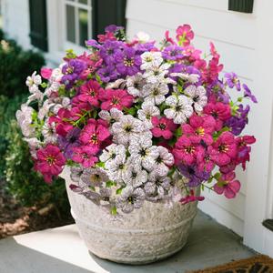 12Pk Daisy Artificial Flowers for Outdoors with Eucalyptus - UV Resistant Fake Flowers for Hanging Basket Vase Planter Window Box, Realistic Silk Faux Plants for Porch Garden Home Decor,White|Spring (Purple+white+wine Red)