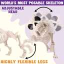 JOYIN 16 Posable Puppy Skeleton Halloween Decorations Realistic Plastic Dog Animal Bones with Movable Joints for Halloween Indoor Outdoor Decor Spooky Scene Party Favors Graveyard Decor