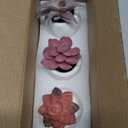 Set of 3 Artificial Succulent Plants with Ceramic Flower Pot Mini Assorted Green Fake Plants in Pots Small Tabletop Ornament Artificial Plant