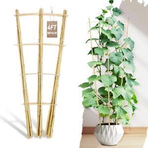 Avalution 10 Pack Bamboo Trellis for Climbing Plants, 4 FT Garden Ladder Trellis for Potted Plants Indoor, Fan-Shaped Small Plant Support Trellis for Houseplants Ivy Hoya Vine Monstera, 10 PACK-48 inches