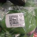 Book Worm Costume World Book Day Cute Kawaii Worm Reading T-Shirt. XS