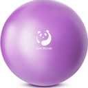 Slim Panda Pilates Ball, 9 Inch Small Exercise Ball, Anti Burst Mini Yoga Ball for Stability, Workout, Barre, Core Strength, Physical Therapy, Balance, Stretching (1 Purple)