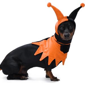 Lelepet Dog Halloween Costume with Hat & Cloak, Funny Dog Costume Pet Halloween Cosplay Outfit Party Dress Up for Trick or Treat, Holiday Clothes for Small, Medium & Large Dogs, Dachshund, Beagle, Lab