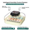 CoInceptus 35 Egg Incubator with Automatic Egg Turning and Humidity Control, Incubator for Chicken Eggs, Quail, Duck Eggs, with Egg Candler