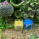 12 Constellations Premium Votive Scented Candles Set - 12 Unique Scents Including Lavender, Vanilla, Lemon & Mint, 100% Natural Soy, Non-Toxic, Small Candles for Aromatherapy, Gifts & Home Dcor