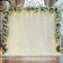 PARTISKY 20ft X 10ft Ivory Tulle Backdrop Curtain for Parites, Sheer Backdrop Curtains Fabric Drapes for Wedding Ceremony Arch Party Stage Decorations