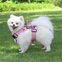 Service Dog Harness, Reflective Dog Vest Harness with 5 PCS Patches, Adjustable Soft Oxford Pet Harness, Inner Layer Mesh, Easy to Control for Small Medium Large Dogs, Small (Pack of 1)