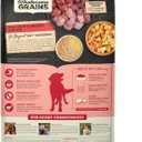 ACANA Wholesome Grains Dry Dog Food Red Meat & Grains Beef Pork & Lamb Recipe 22.5lb Bag (EXP 12/31/36)