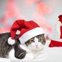 MNKXL Santa Hats Bulk for Adults,Christmas Hats Plus Size,Mens Womens Thickened Red Santa Claus Hat for Xmas Party