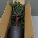 YXZZWL 3FT Real Touch Cedar Topiary Trees for Front Porch Decor, Artificial Shrubs Faux Plants Potted UV Resistant Fake Greenery for Outdoor Indoor Door Garden Farmhouse Home Decoration (Set of 2)