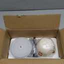 Baby Food Maker - Processor & Blender for Fresh Meals, Fruits, Veggies, Meat & Puree (White)