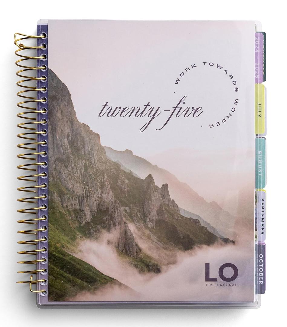 Work Towards Wonder - 2024 - 2025 18-Month Agenda Planner (July 2024 - December 2025)