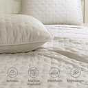 ROARINGWILD Beige Twin Size Quilt Bedding Set with 1 Pillow Sham, Lightweight Soft Microfiber Bedspread Coverlet, Thin Comforter Bed Cover for All Season, 2 Pieces, 68x90 inches