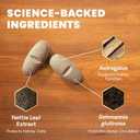 VetriScience Kidney Health Chewable Tablets, Renal Essentials Supplement for Dogs, Urinary Tract and Kidney Support with Mushroom, Astragalus Root, Nettle Seed and Herbs, Smoke, 60 Count