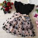 Toddler Girl Summer Dress Tulle Ruffle Sleeveless Baby Girl Fashion Casual Spring Dresses 1-5Y (Black)