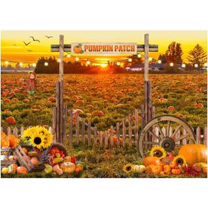 8X6FT Fall Backdrop Photography Pumpkin Patch Backdrops Autumn Harvest Backgroud Rural Scenery Back Drop Party Decorations Banner XY81