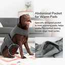 PUMYPOREITY Dog Diaper with Suspender, Escape-Proof Anti-Harassment Garment for Heat Cycle, Incontinence, Puppy Training, Senior Dog, M, Grey