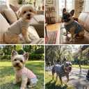 2Pack Dog Shirt Cotton Striped T-Shirts Stretchy Comfortable Pet Vest for Puppy and Cat Super Soft Dog Shirts Vest Sleeveless Breathable Basic Clothes for Boy Girl Dogs, Size: XL(Back: 17.7", Chest: 22.8", 19.8-29.8lbs)
