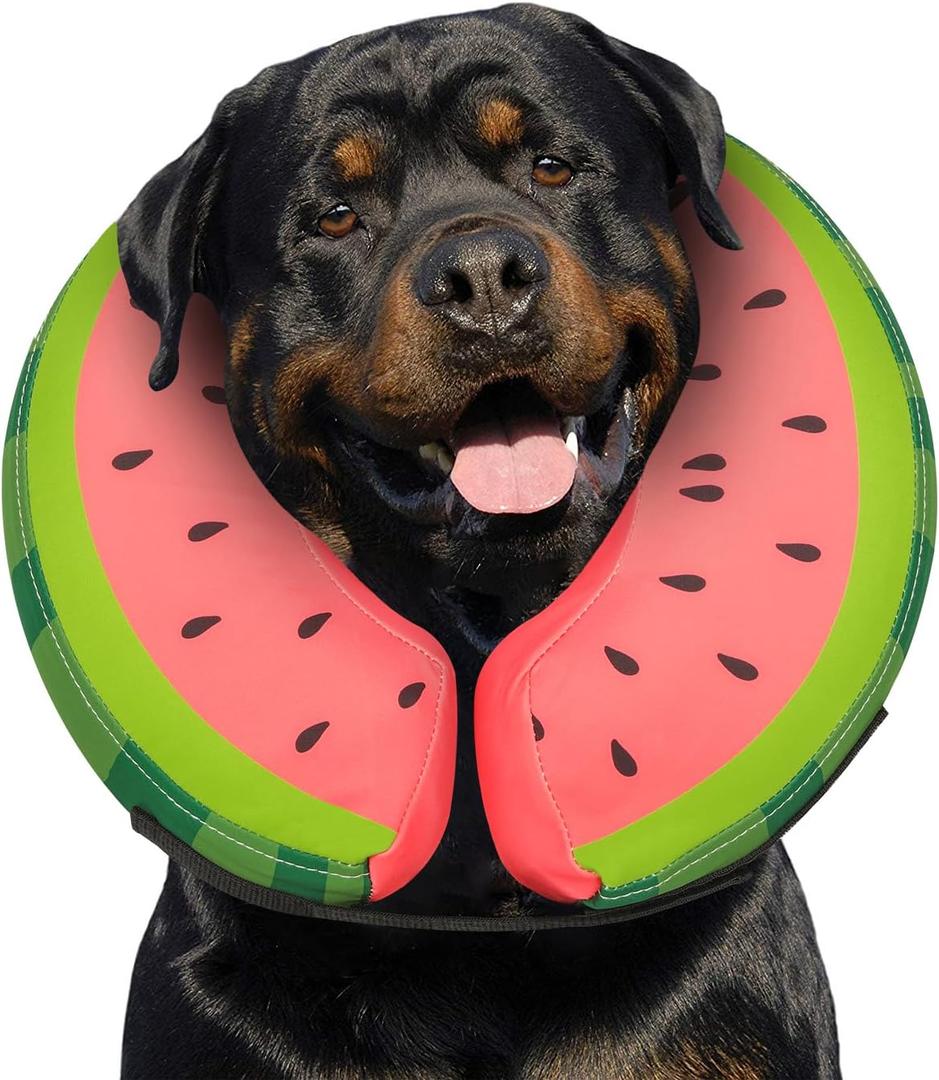 MIDOG Inflatable Dog Cone Collar Alternative After Surgery - Soft Protective Recovery Dog Cone for Large Medium Small Dogs & Cats, Elizabethan Collar for Dogs to Stop Licking - Red,XL (XL-Neck:18"-24", Watermelon)