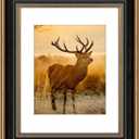 AUEAR,11x14 Picture Frame for 8x10 Photo With Mat or 11x14 Prints Without Mat,Vintage Style,Wall Mounting (Black and Ornate Gold)