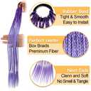 2 PCS Colorful Braided Hair Extensions 24 inch, Fun Ponytail with Elastic Tie, Crazy Hair Day Accessories for Girls Lightweight Synthetic HairpiecesPurple/Light Purple
