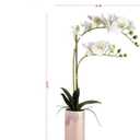 Dolly Parton White Artificial Orchid in Pink Ceramic Pot, 9.8x5.5x24 Inch