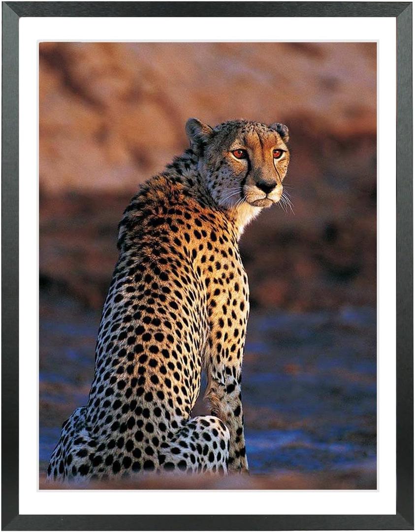 Mxtallup 17x24 Picture Frames Solid wood,Display Pictures 15x22 Inch With Mat or 17x24 Inch Without Mat, Poster Frames 15x22 in Photo Frames Wood Black (T22B1724W1522)