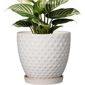 G EPGardening 6 Inch Ceramic Plant Pot with Drainage Hole and Saucer Round Planter Decorative Flower Plant Pot for Indoor Plants Outdoor White