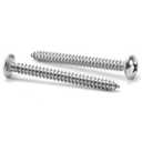 #14 x 3" Wood Screw 100Pcs Truss Head Phillips 18-8 (304) Stainless Steel Fast Self Tapping Screws by SG TZH