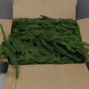 9FT Norfolk Pine Garland, Real Touch Artificial Greenery Garland, Flexible and Fluffable Christmas Garland Decorations for Mantle, Table, Staircase, Fireplace, Wall