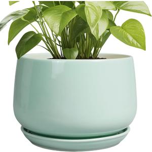 G EPGardening Ceramic Pots for Plants - 9 Inch Ceramic Planter with Drainage and Saucer, Round Planter for Indoor Outdoor Plants, Modern Flower Pots, Garden Decor, Birthday Gifts, Green