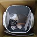 Open-Top Automatic Litter Box, Odor Control, Ready to Use, Self Cleaning Litter Box, Large Capacity with APP Control and Safety Sensor, Ellenpent, with Trash Bags/Waterproof Mat/Litter Mat