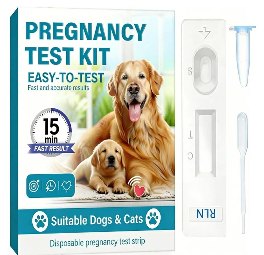 Dog Pregnancy Test Kit at Home - Accurate and Fast Dog Pregnancy Test, Convenient & Disposable Pregnancy Tests Strip (1PCS)