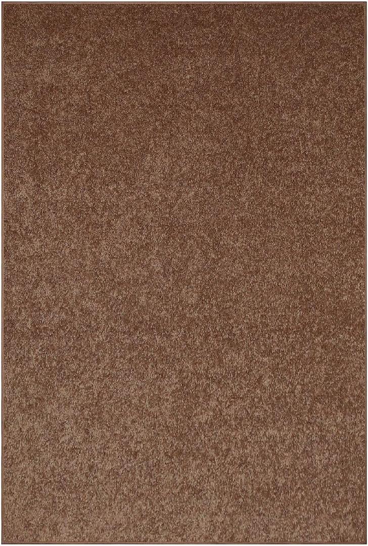 Bright House Solid Color Area Rugs Brown - 3' x 5' Rectangle, Indoor, Stain & Fade Resistant, Perfect for Living Room, Bedroom, Dining Room, Entryway, Doorway, Pet & Kids Friendly Rug, Wedding