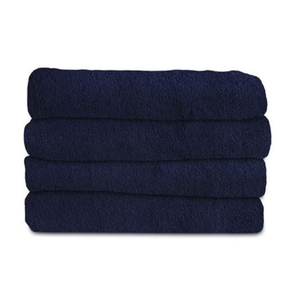 Sunbeam Royal Luxe Night Fog Heated Blanket 12-Heat Settings Auto Off Machine Washable Queen Blue