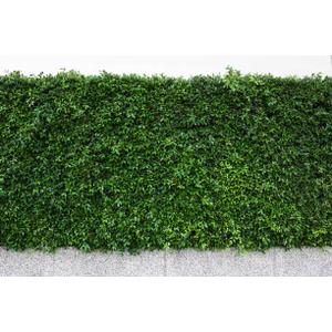 Wall Garden Decoration Artificial Shrub Bush Vine