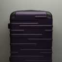 Coolife Luggage Suitcase Carry-on Hardside Travel Luggage TSA Lock Spinner Telescopic Handle (M(24in), purple)